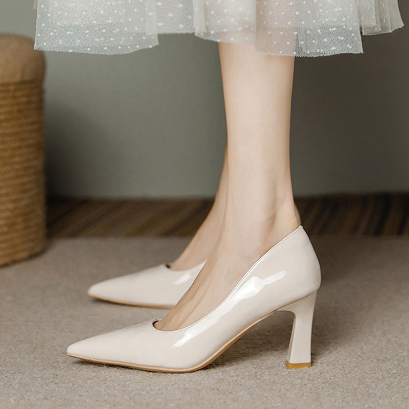 Pointed Toe Chunky Heels