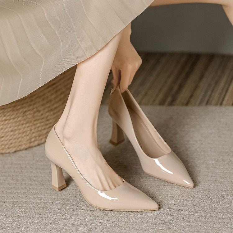 Pointed Toe Chunky Heels