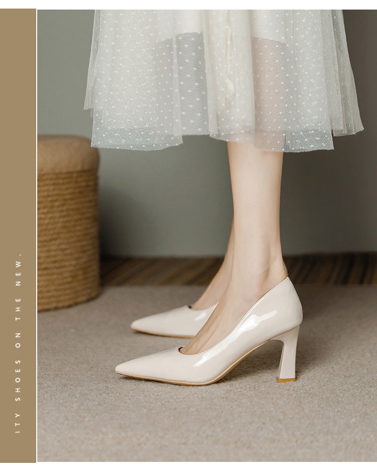 Pointed Toe Chunky Heels