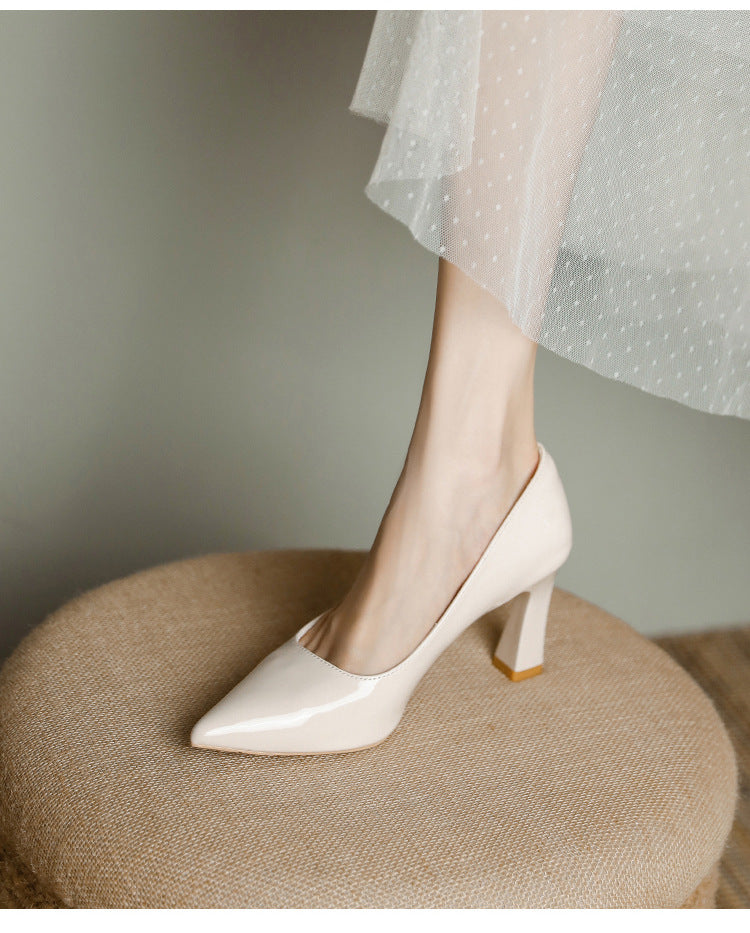Pointed Toe Chunky Heels