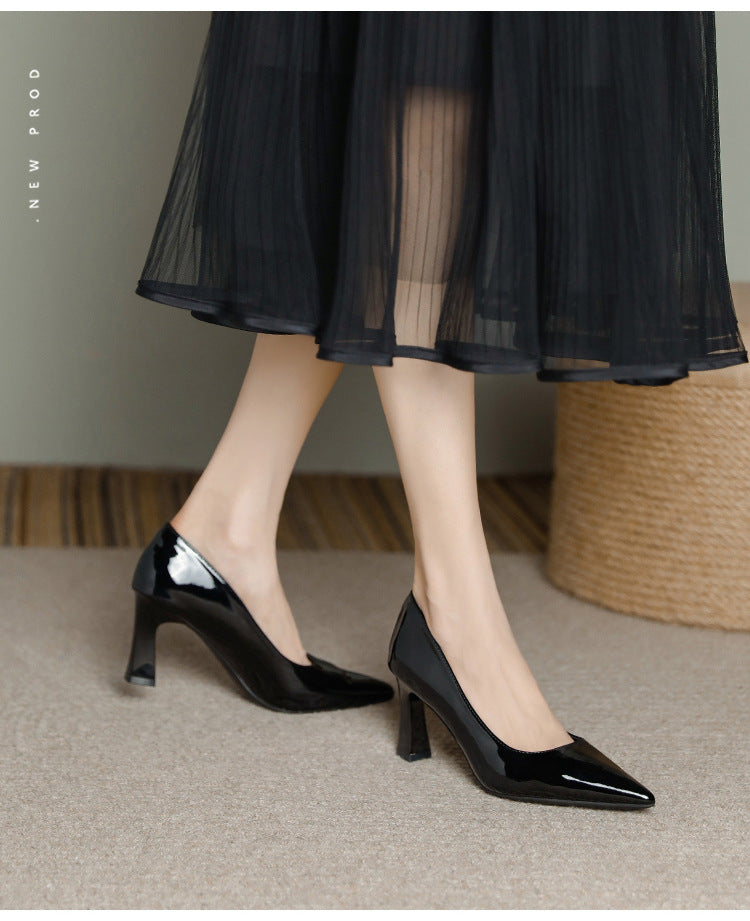 Pointed Toe Chunky Heels
