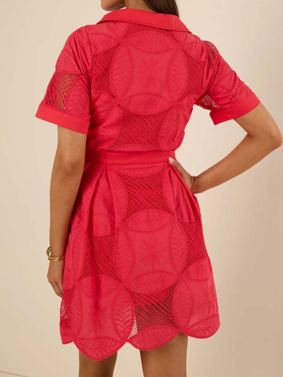 Spread Collar V-neck Embroidered Mini Dress