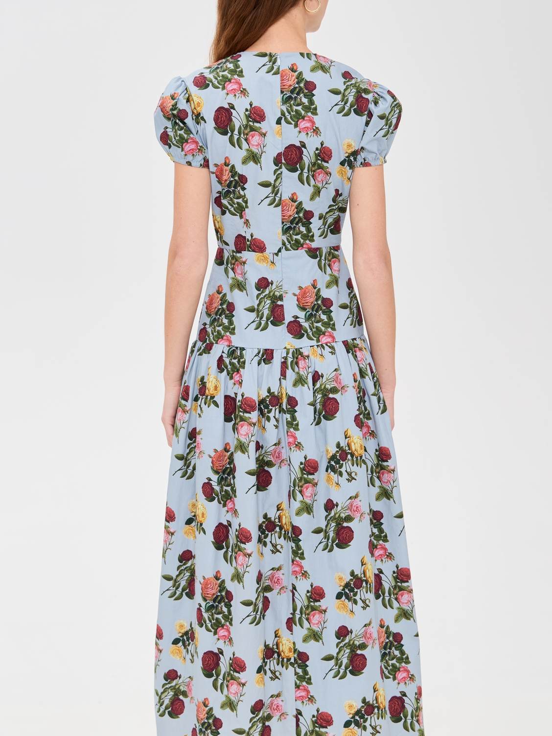 Elegant Bubble Sleeve Printed Dress