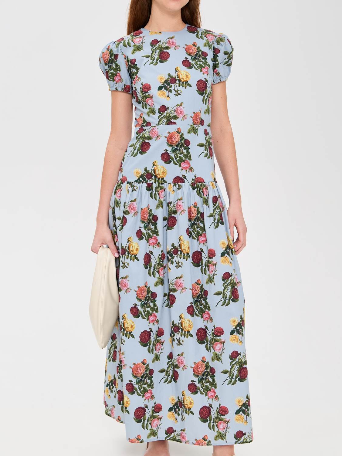 Elegant Bubble Sleeve Printed Dress