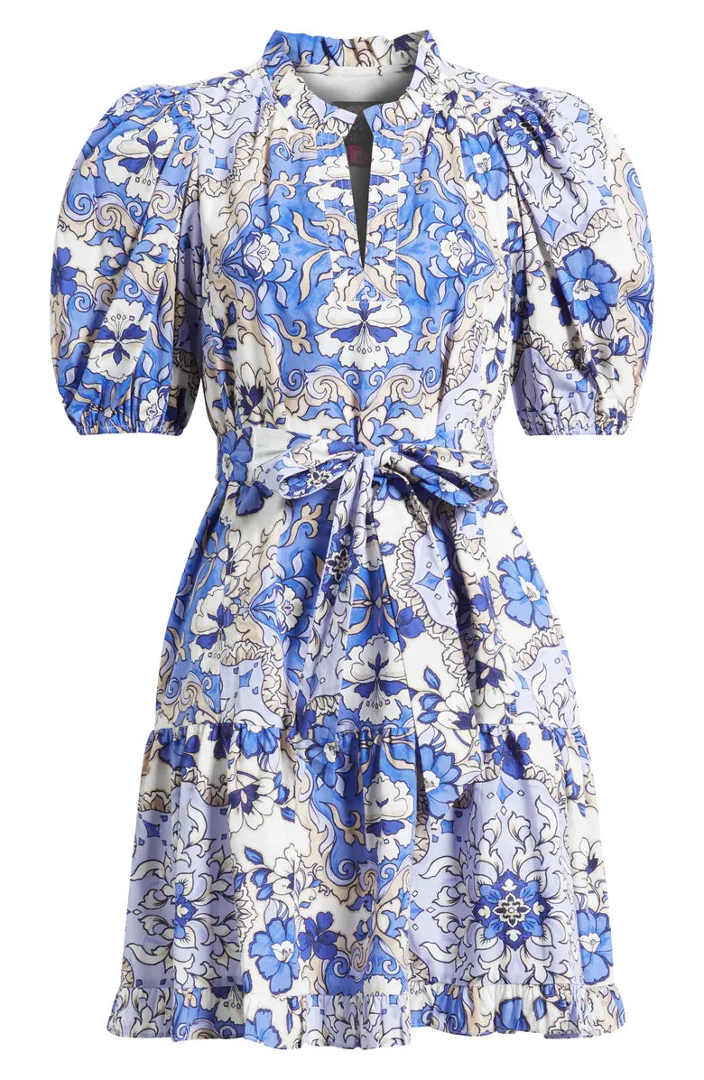 Print Ruffle Tie Waist Puff Sleeve Dress