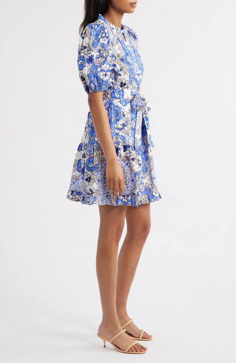 Print Ruffle Tie Waist Puff Sleeve Dress