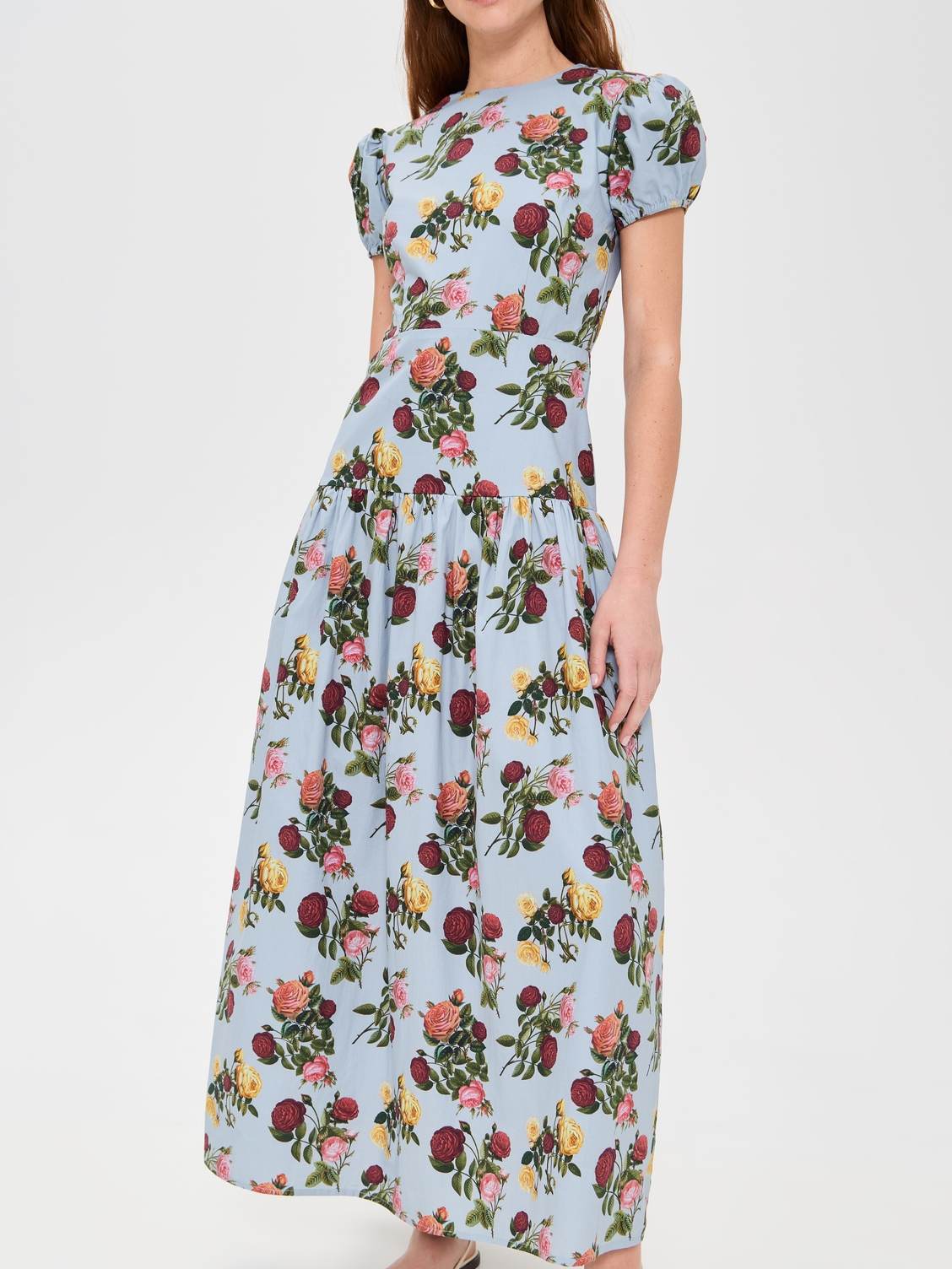 Elegant Bubble Sleeve Printed Dress