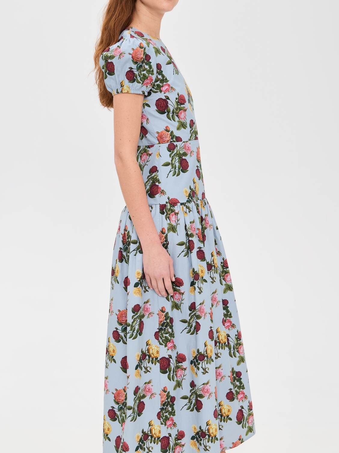 Elegant Bubble Sleeve Printed Dress