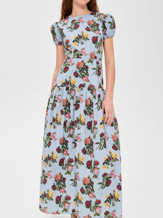 Elegant Bubble Sleeve Printed Dress