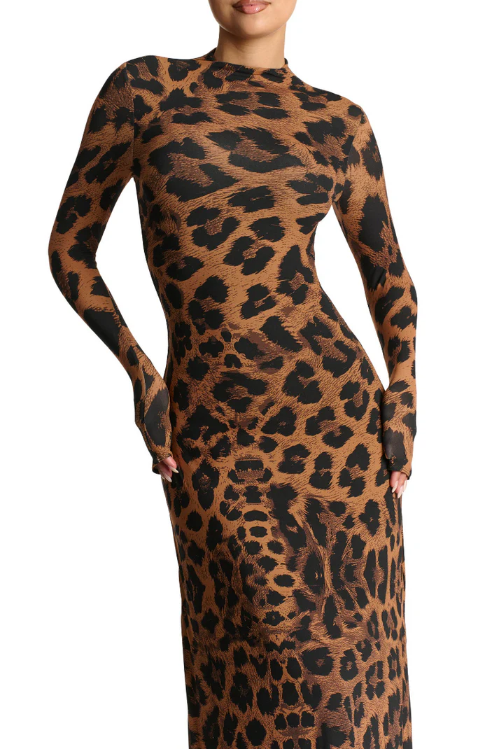 Leopard Print Long Sleeve Maxi Dress