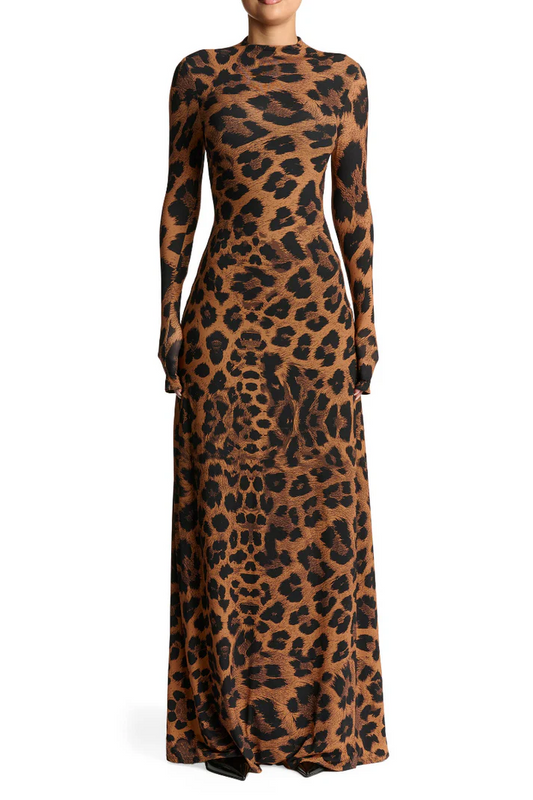 Leopard Print Long Sleeve Maxi Dress