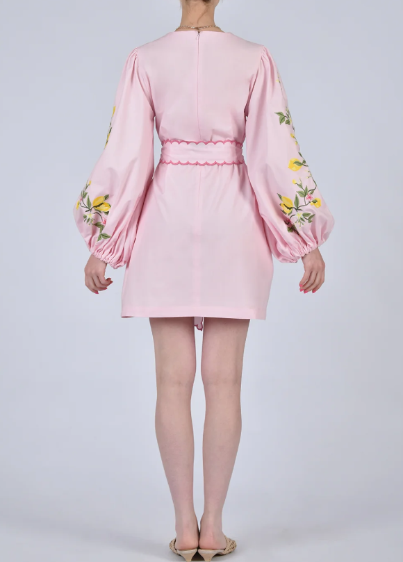 Adorable Flower Short Dress