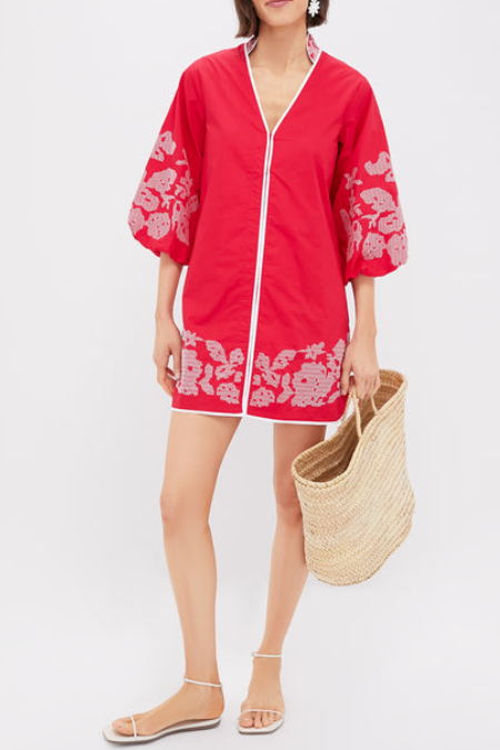 V-Neck Embroidered Dress